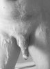 FDA7DE91-9B34-4E14-BE46-AE31CA034A9F.jpeg