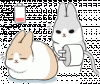 source.gif