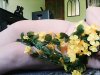 IMG_20210321_092821.jpg