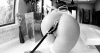 image.gif