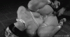 496C0F27-5718-4A94-B548-1B504317E18B.gif