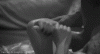 38A930BC-7525-4A00-9167-C181484E09F2.gif