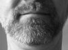 FBA27419-067D-42C1-BC00-446E363EC23F.jpeg