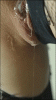 517b202c4acff331447cedf5832cb28240cc4a31.gif