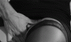 193fa511df2fea5eba12d15c61952dddefdc45c2.gif