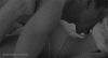 5c4bcc82ac58191357bcc25121be6e7a38c56bb2.gif
