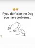 FB_IMG_1619388654959.jpg