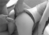 228425576adf45bebb7b0185a47f5c85dd680918.gif