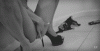 c5ac8e7cc3af960d5e6ab424f9e9c0ca68ad14b7.gif