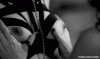 9C3E0A73-EFE9-41F7-9131-10A941B84BD7.gif