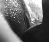 7216e91a4afd48c5053340418a118529a5bcd75a.gif