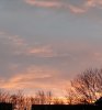IMG_20210528_214150.jpg