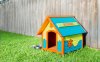 How-To_Painting-Dog-Kennel_Hero-1080x675.jpg