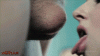 4b9859e021bce2eae2cfb600e4dd20295d40e279.gif