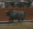 a4322ed3e4f0390ea21455615c23510e.gif