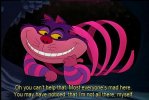 6fb2d639e354b3356beccbf33da148a8.jpg