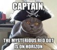 d429a24b289ceeef75b74274cad7b4eb--funny-cute-cats-funny-animals.jpg