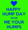 happy-hump-day-show-me-your-humps.png