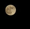 moon 004b.jpg