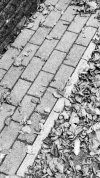20210926_085549.jpg