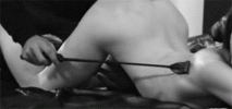83D7FA55-E3CC-4300-BCC0-D9AE4899C46B.gif
