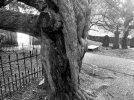 20211003_160532.jpg