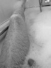 thumbnail_image.jpg