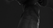 14988E70-24C9-4C80-9989-E2232F89313F.gif