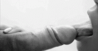 0145AD54-0024-44F6-88BB-2683FF6C48F3.gif