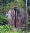 S-DJSpGxKpoduYx6o8l99pFvT9ge9RjyiBHz81nCJIk.jpg