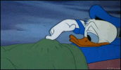 57CADEE4-9B35-42B4-95EF-0EDB27AE9D04.gif