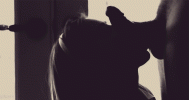 30076.gif