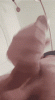 21528645.gif