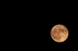 moon 005.jpg