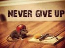 funny-positive-quote-4-picture-quote-1.jpg