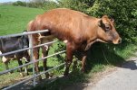 19_Hilarious-Photos-that-Will-Get-You-Through-the-Week_3117111_george-green.jpg