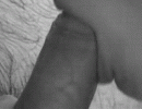 31683.gif