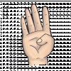 1619569701_130511_url.gif