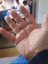 IMG_20210228_120603_7~2.jpg