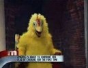 strange_things_on_640_18.jpg