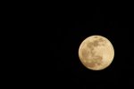 IMG_8405m.jpg