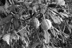 20211027_192658.jpg