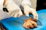 chef-cutting-octopus-over-blue-131109.jpg