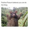 positive-thrusday-meme-with-supportive-possum-cheering-for-you.jpeg