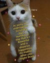 tumblr_pj3benEJ131w9t3l2_1280.jpg