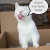 Count-my-taste-buds.jpg