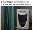 FB_IMG_1641429952378.jpg