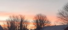 20220112_080611.jpg