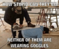 thumb_how-stupid-can-they-be-neither-of-them-are-wearing-49237662.png