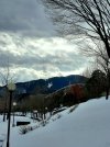 20220116_120442.jpg